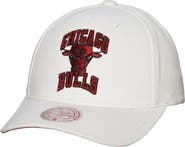 Mitchell & Ness Men's Mitchell & Ness White Chicago Bulls Hardwood Classics All In Retro Snapback Hat