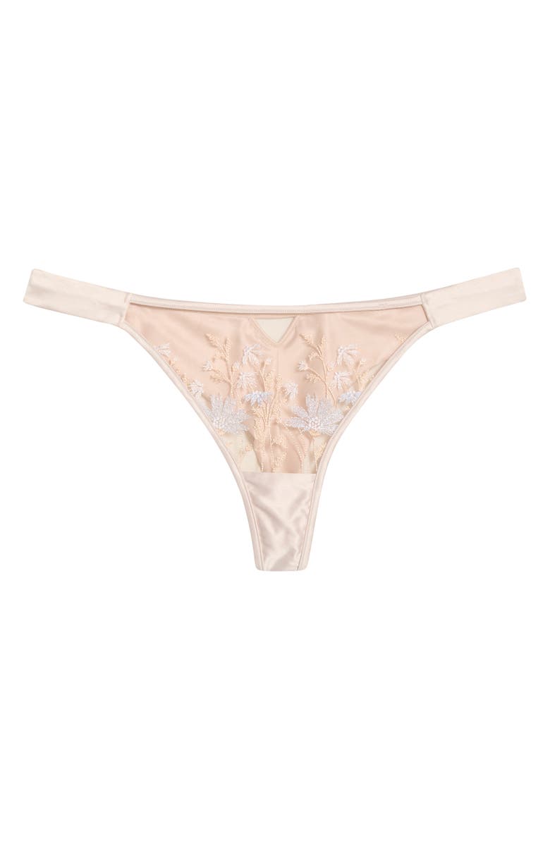 Etam Champetre Embroidered Satin & Mesh Thong, Alternate, color, Dune