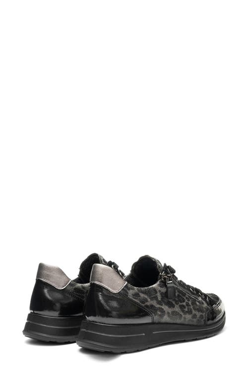 Ara Oleanna Zip Sneaker In Multi