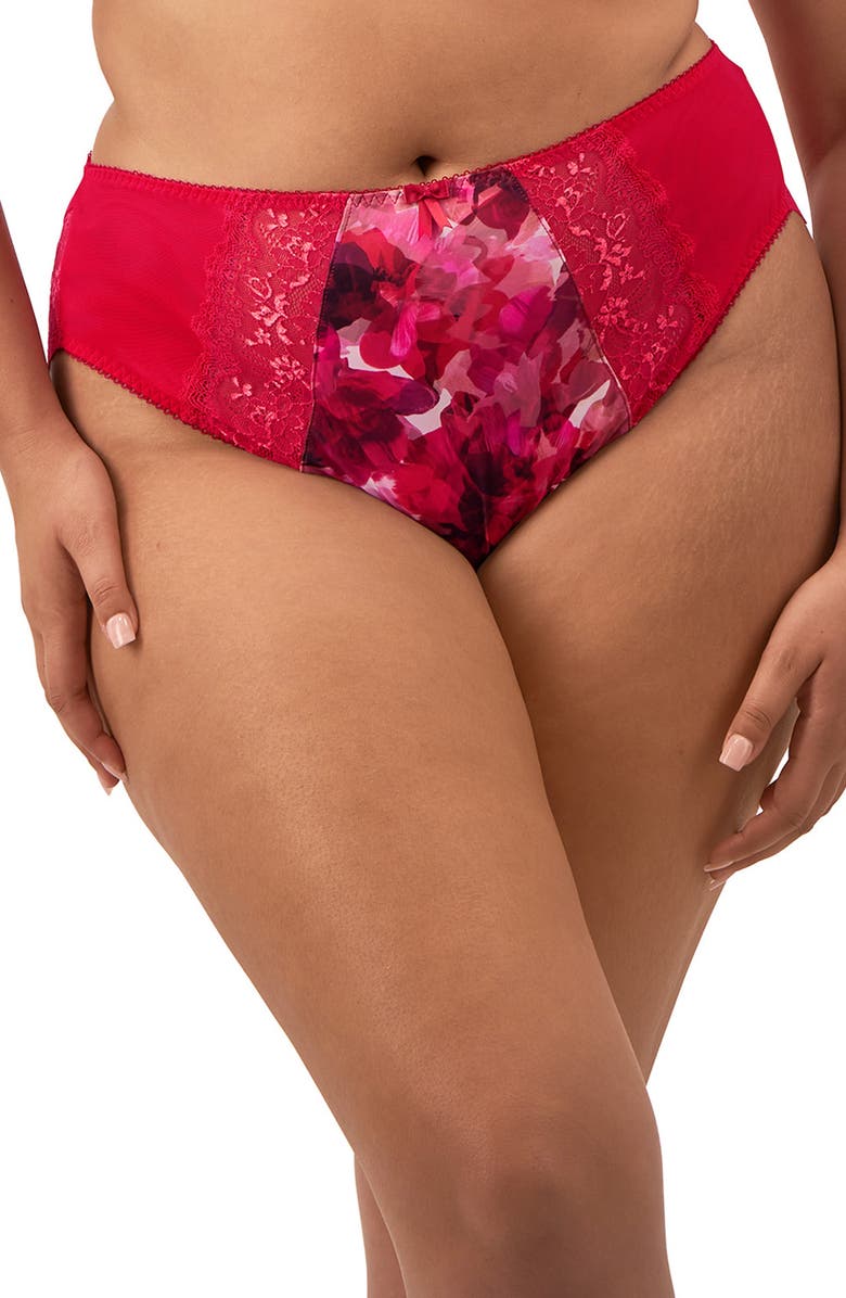 Elomi Morgan Briefs, Main, color, Berry Crush