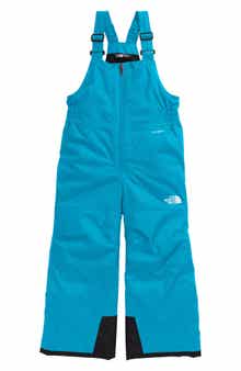 The North Face Kids' Freedom Insulated Snow Bib Overalls