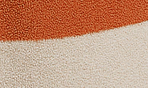 D.rt Stripe Cotton Terry Shorts In Orange