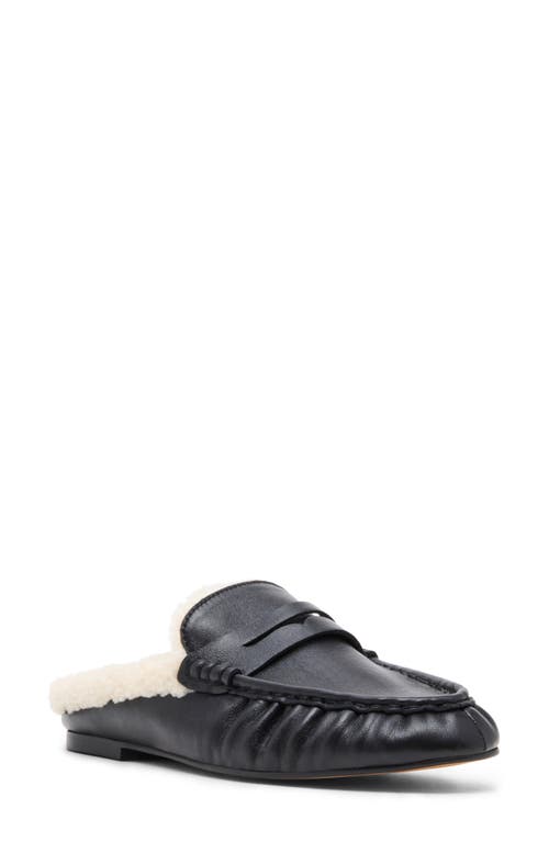 Steve Madden Rafe Genuine Shearling Mule In Black