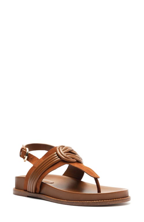 Alexandre Birman Vicky Ankle Strap Platform Sandal (Women in Espresso 