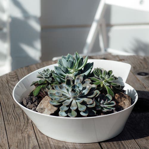 Villeroy & Boch Newwave Large Round Salad Bowl In White