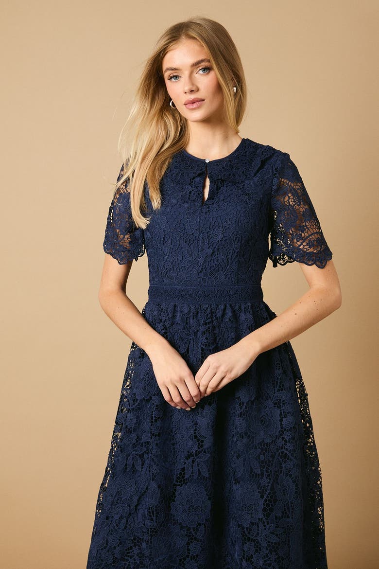 Occasion Lace Collared Midi Dress, Alternate, color, Navy