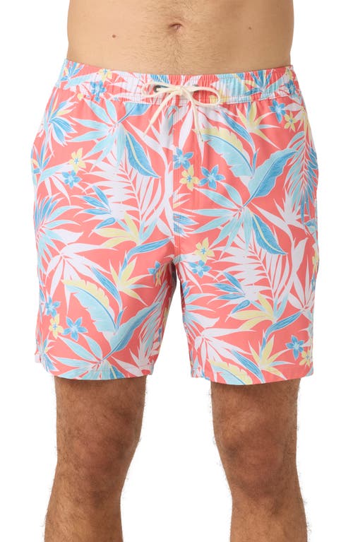 O'neill Hermosa Elastic Waist Swim Trunks In Peach Echo