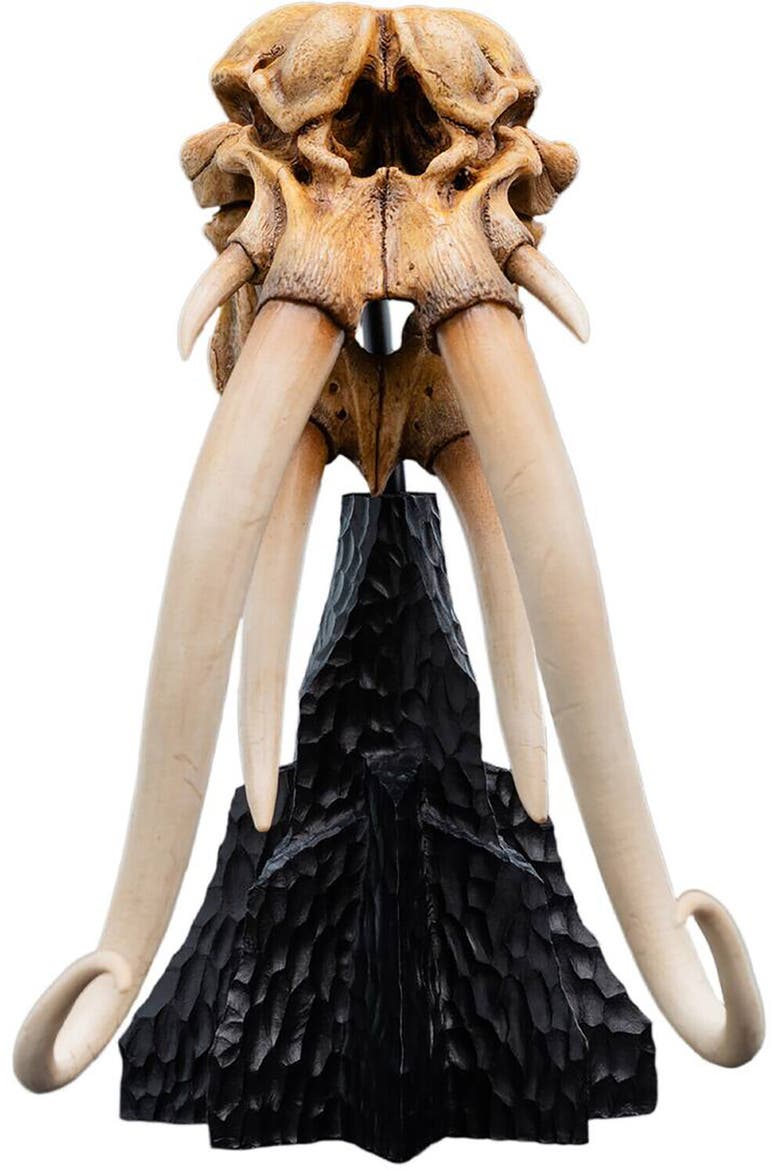 Lord Of The Rings Trilogy - Skull Of A Mumak, Main, color, Multicolor