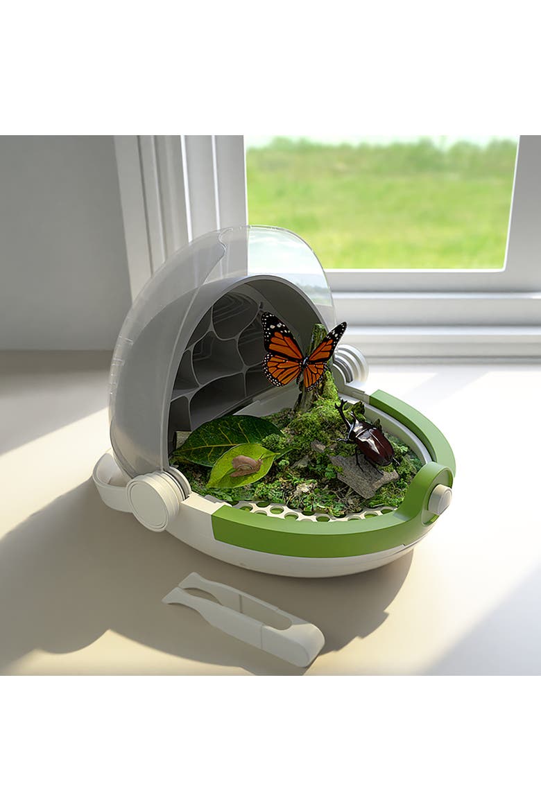 Insects Growth Station Grow & Observe, 6+, Alternate, color, Multicolored