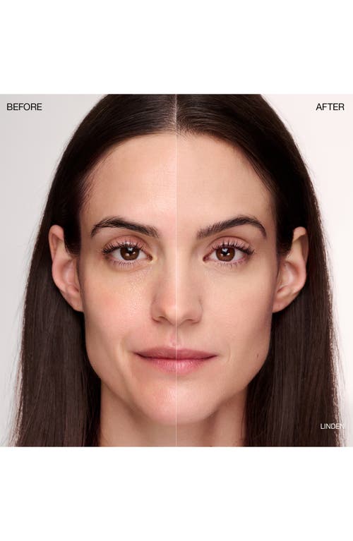 Ogee Complexion Perfecting Concealer In Green