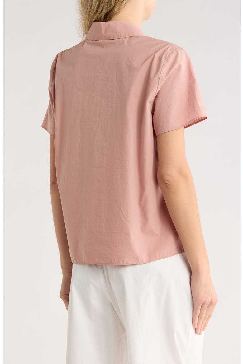 Cotton Polo, Alternate, color, BLUSH CREAM
