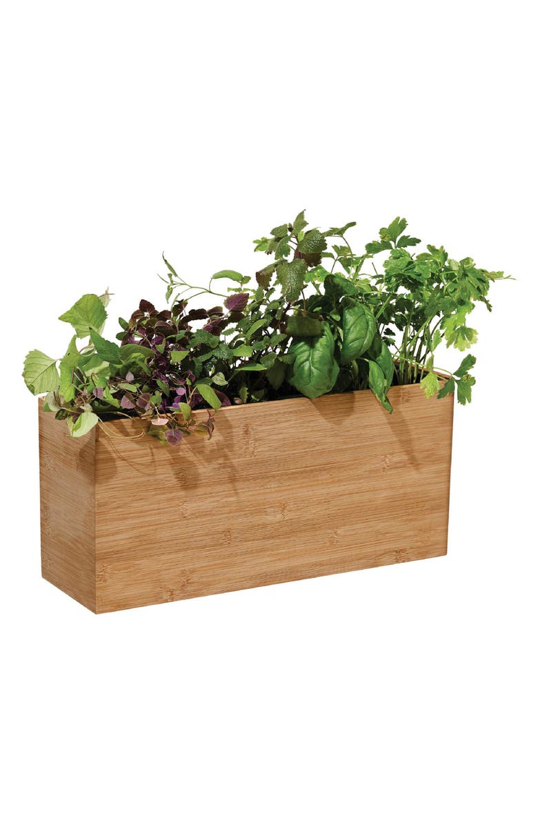 Modern Sprout Smart Indoor Hydroplanter, Alternate, color, 