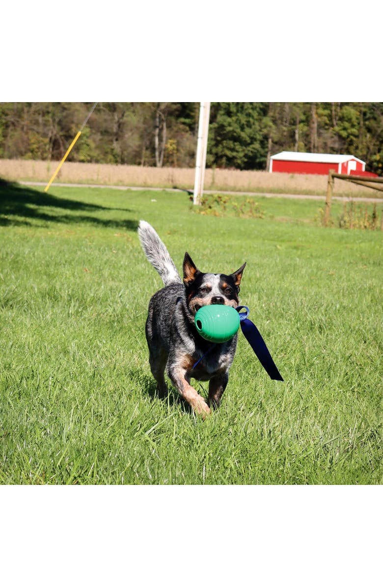 PetKORE KoreFlex Ball & Tail, 4.75 Inches, Green, Dog Toy, Alternate, color, Green