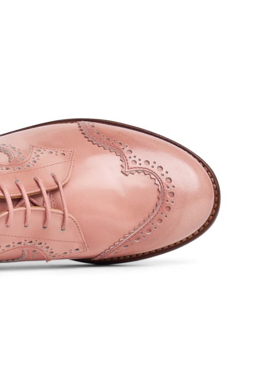 The Office Of Angela Scott Ms. Eugenie Wingtip Derby In Geranium