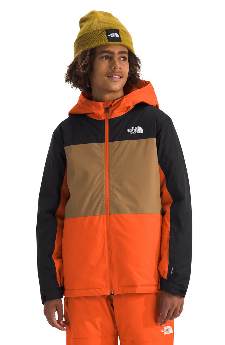 The North Face Kids' Freedom Insulated Waterproof Hooded Jacket, Alternate, color, Tnf Orange