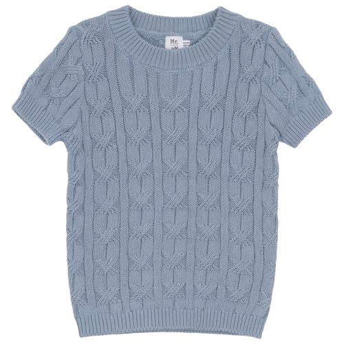 Mr. Mr. Soft Cotton Mixed Cable Knit Sweater in Blue Grey at Nordstrom, Size 4T