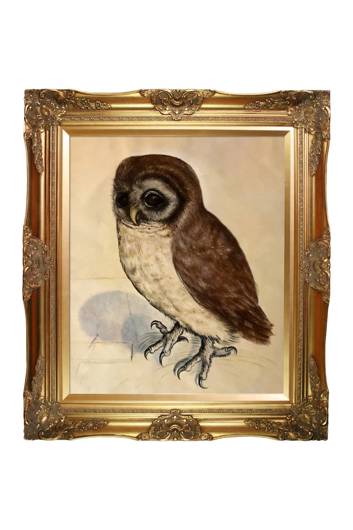 OVERSTOCK ART The Little Owl with Victorian Gold Frame | Nordstromrack