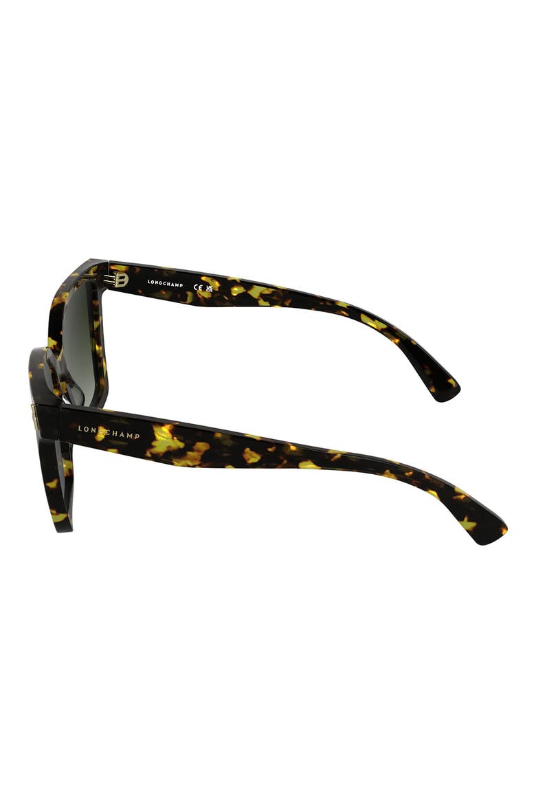 Roseau 55mm Modified Rectangular Sunglasses, Alternate, color, DARK HAVANA
