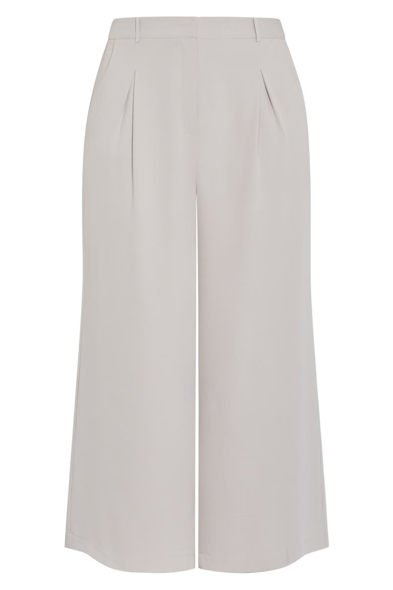 Jordan Wide Leg Pleated Pants, Alternate, color, NEUTRAL