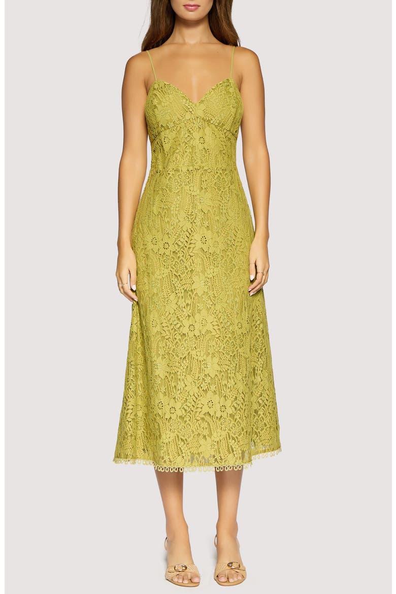 Serafina Floral Lace Cotton Blend Midi Dress, Main, color, GREEN