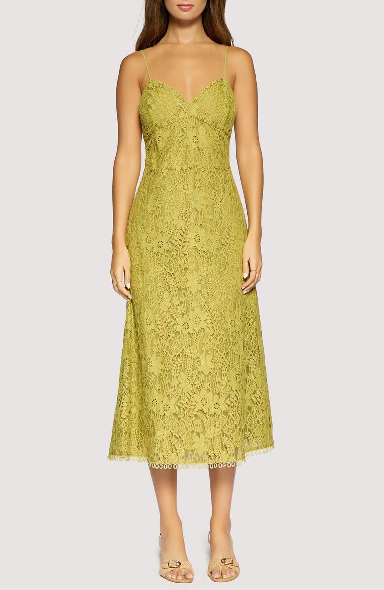 Lost + Wander Serafina Floral Lace Cotton Blend Midi Dress, Main, color, Green