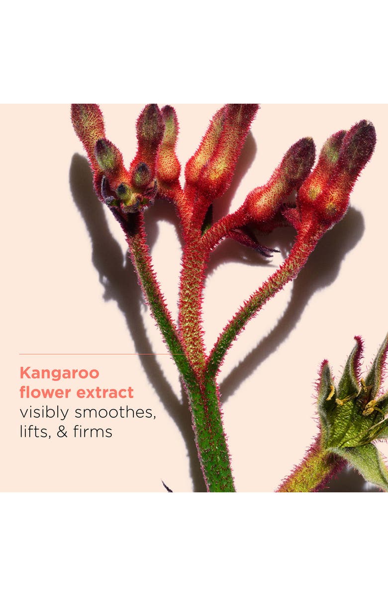 Clarins Extra-Firming & Smoothing Luxury Skin Care Set (Limited Edition) $269 Value, Alternate, color, 