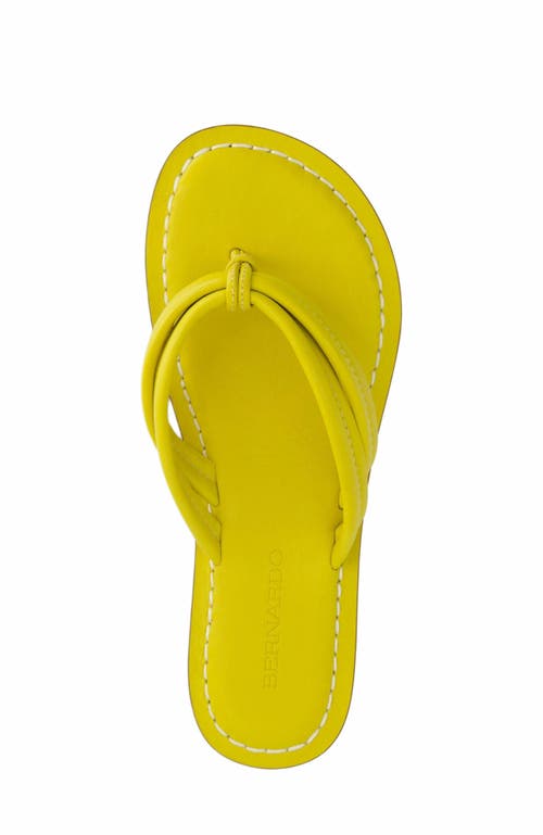 Bernardo Footwear Miami Thong Sandal In Daisy