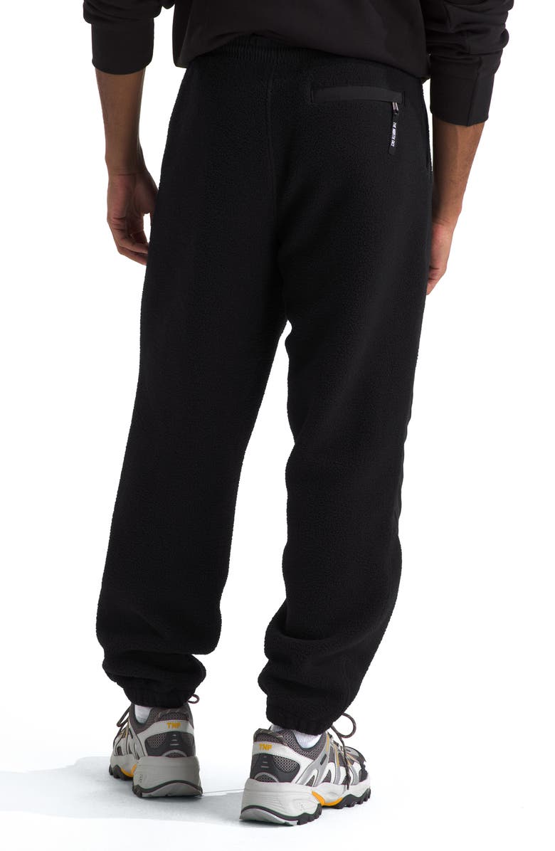 The North Face Retro Denali Water Repellent Recycled Polyester Fleece Pants, Alternate, color, 