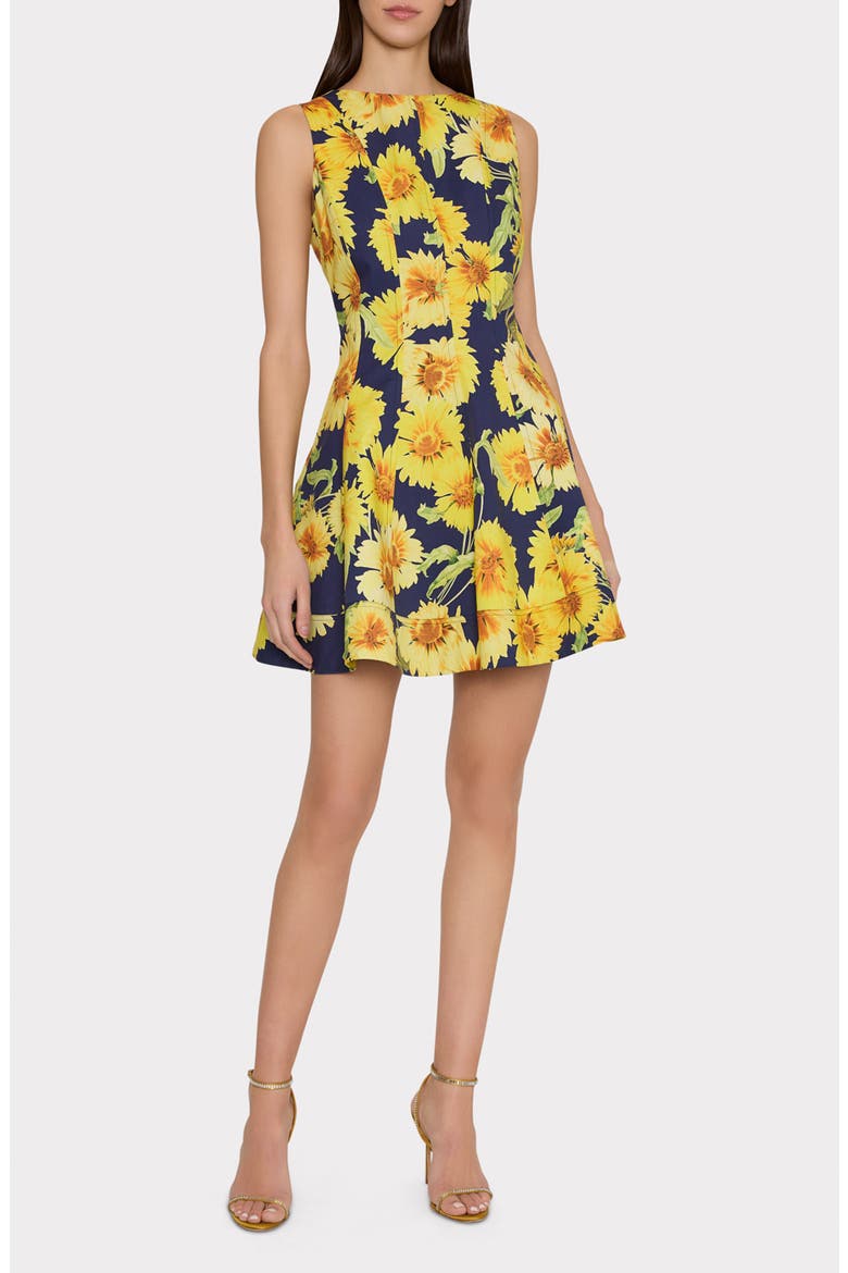 Poppy Sunflower Sleeveless Fit & Flare Minidress, Main, color, NAVY MULTI