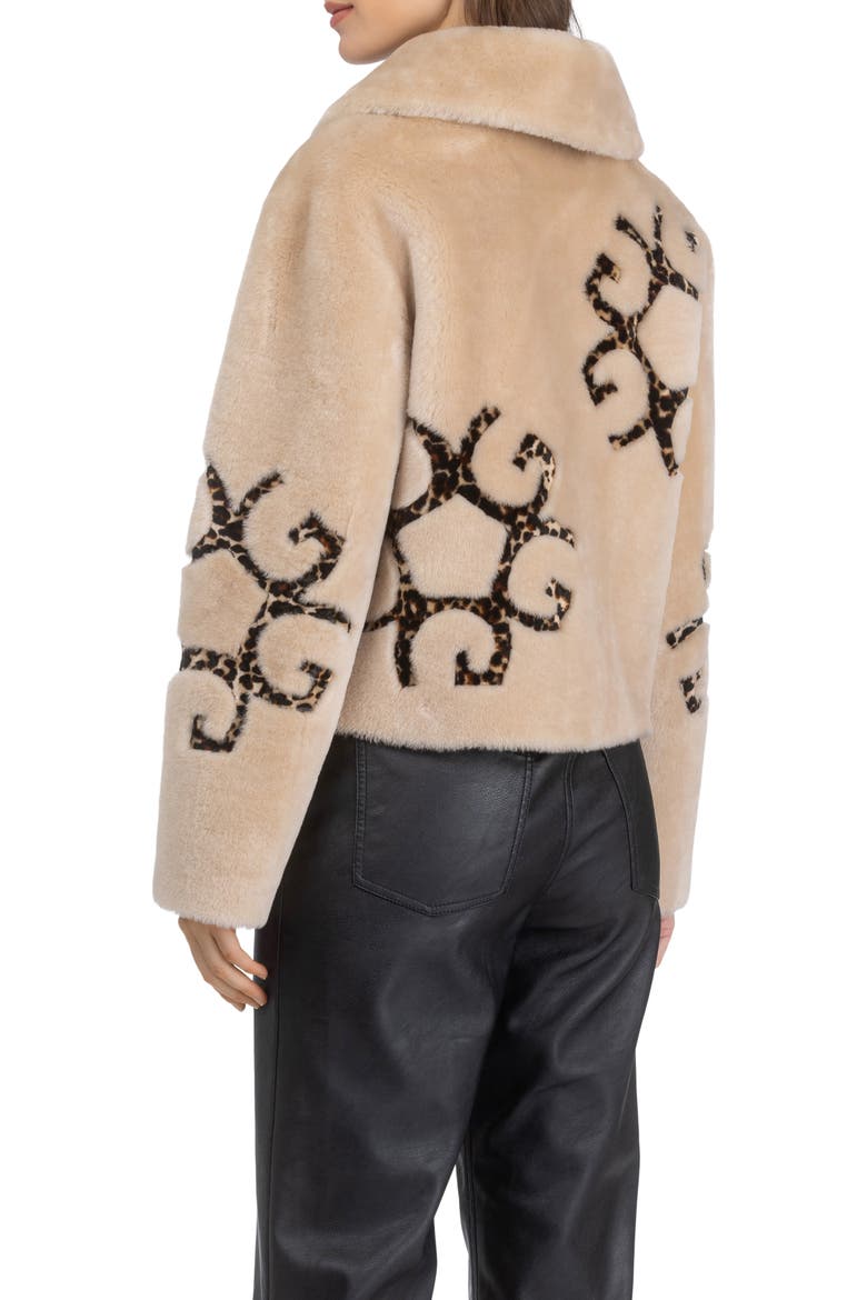 Genuine Shearling Jacket with Gorski Insignia Intarsia, Reversible, Alternate, color, PALOMINO/LPRD