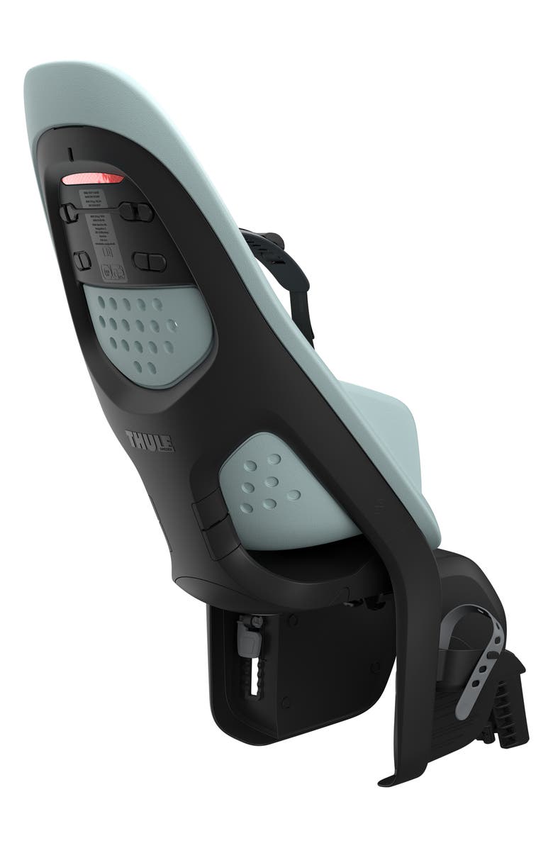 Thule Yepp 2 Maxi Frame Mounted Child Bike Seat, Alternate, color, Alaska