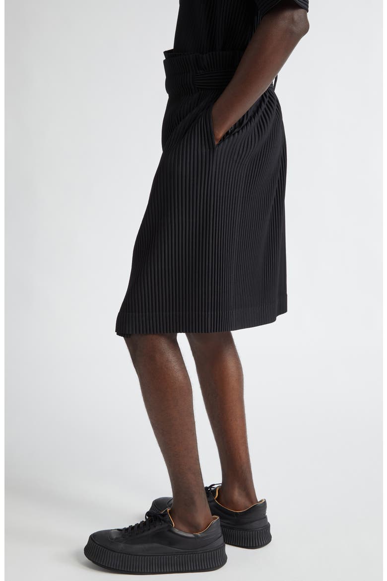 Pleats 2 Wrap Skirt, Alternate, color, BLACK