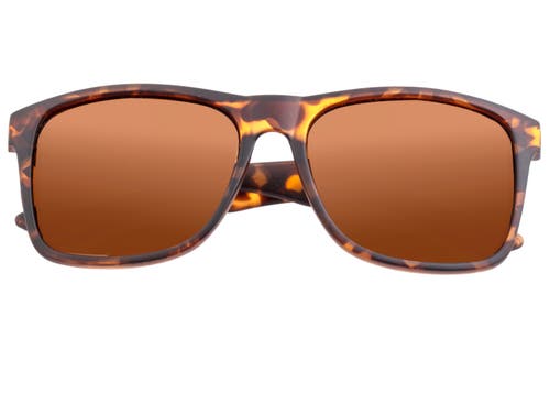 Sixty One Solaro Polarized Sunglasses In Tortoise/brown