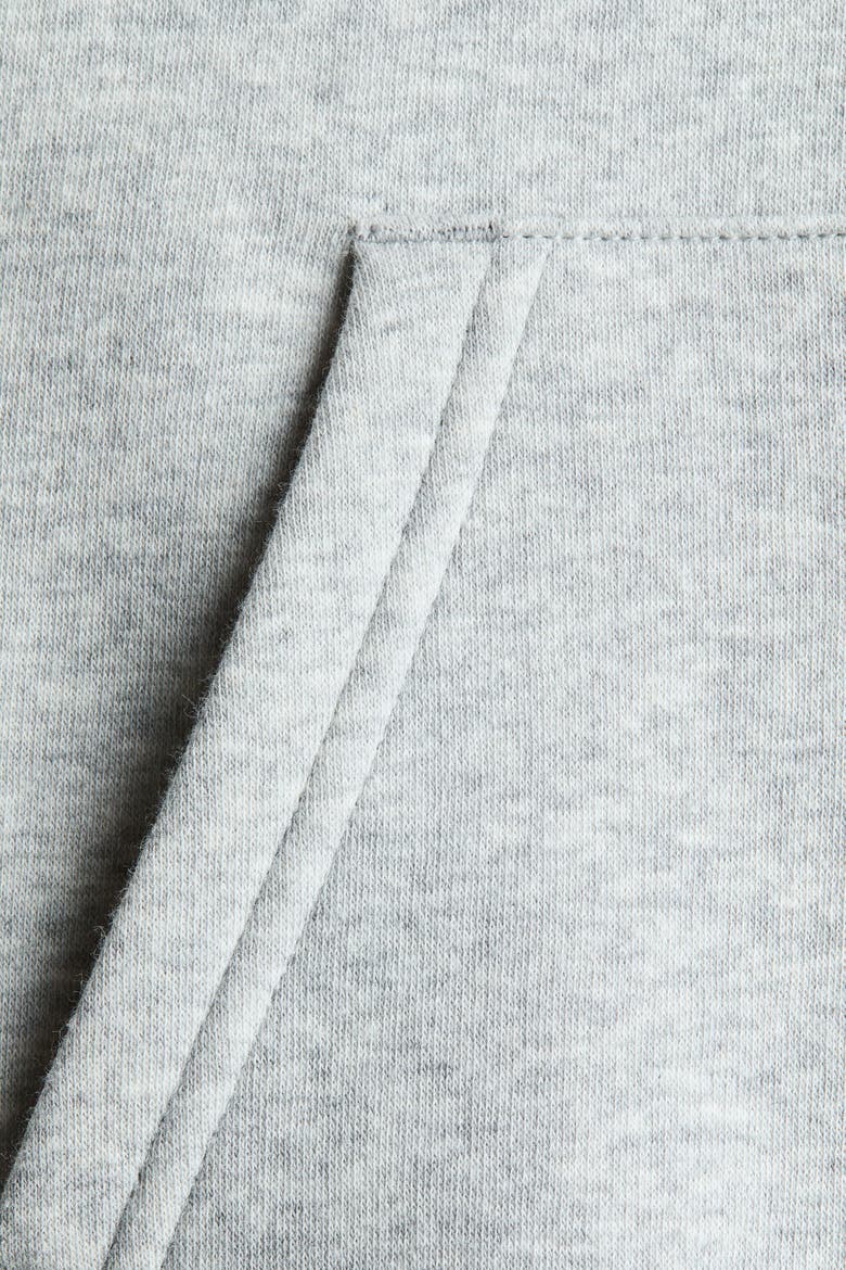 Brushed-inside Hoodie, Alternate, color, Light gray melange