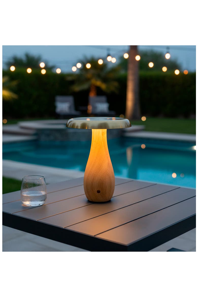 Naya Cordless LED Table Lamp, Alternate, color, NATURAL