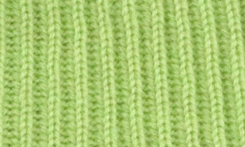 Portolano Merino Wool Rib Cuff Beanie In Green