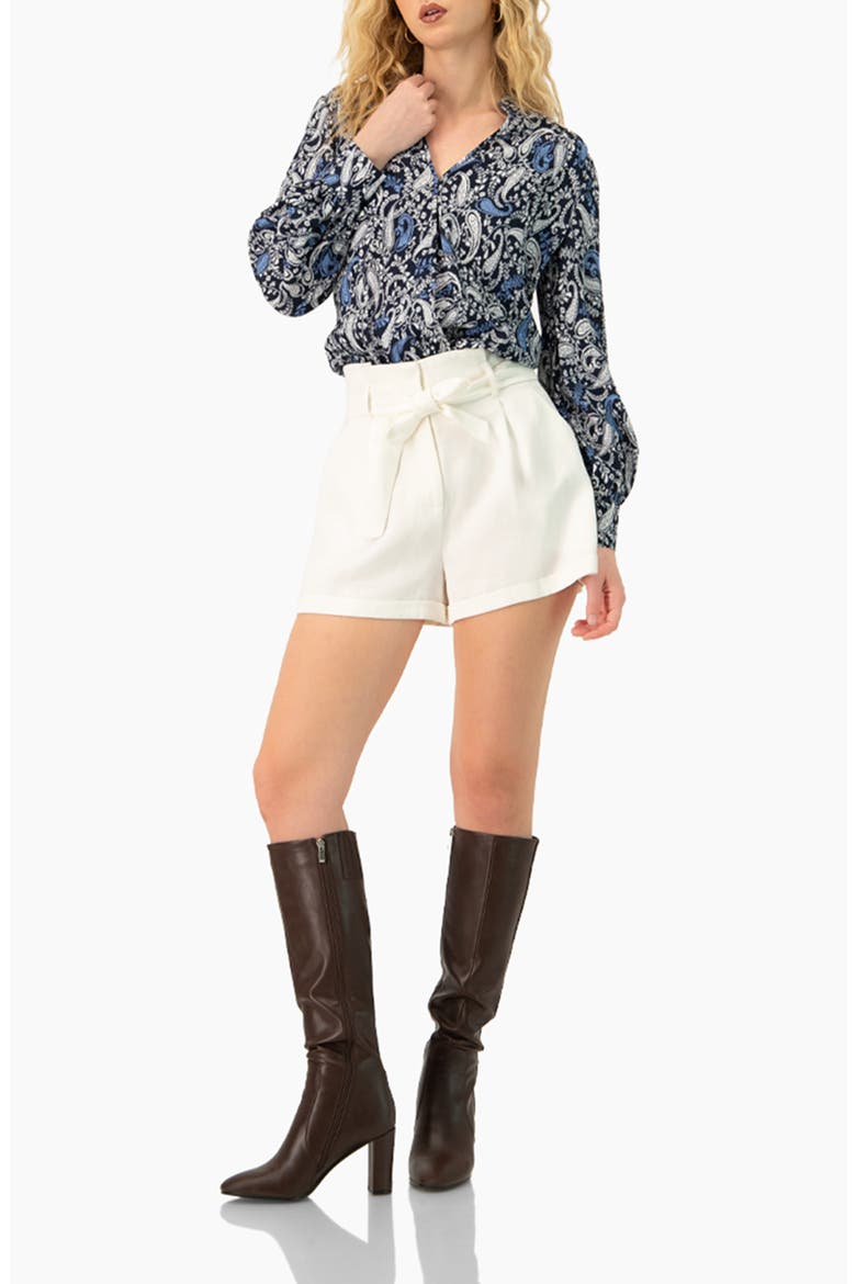 Long Sleeve Paisley V-Neck Blouse, Alternate, color, Navy Blue