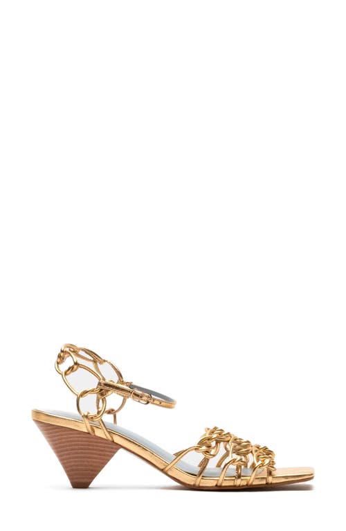 Frances Valentine Alexandra Chain Link Sandal In Platino