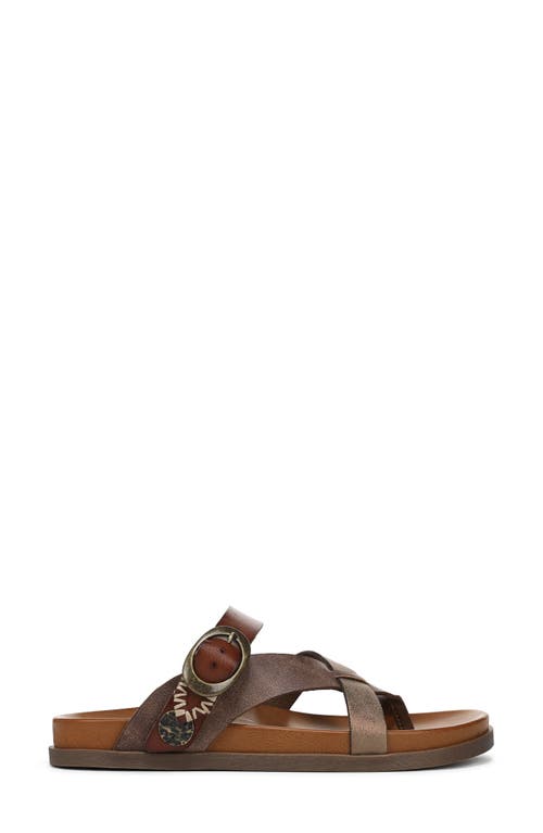 Shop Blowfish Malibu Lilac Strappy Slide Sandal In Walnut Faux Leather