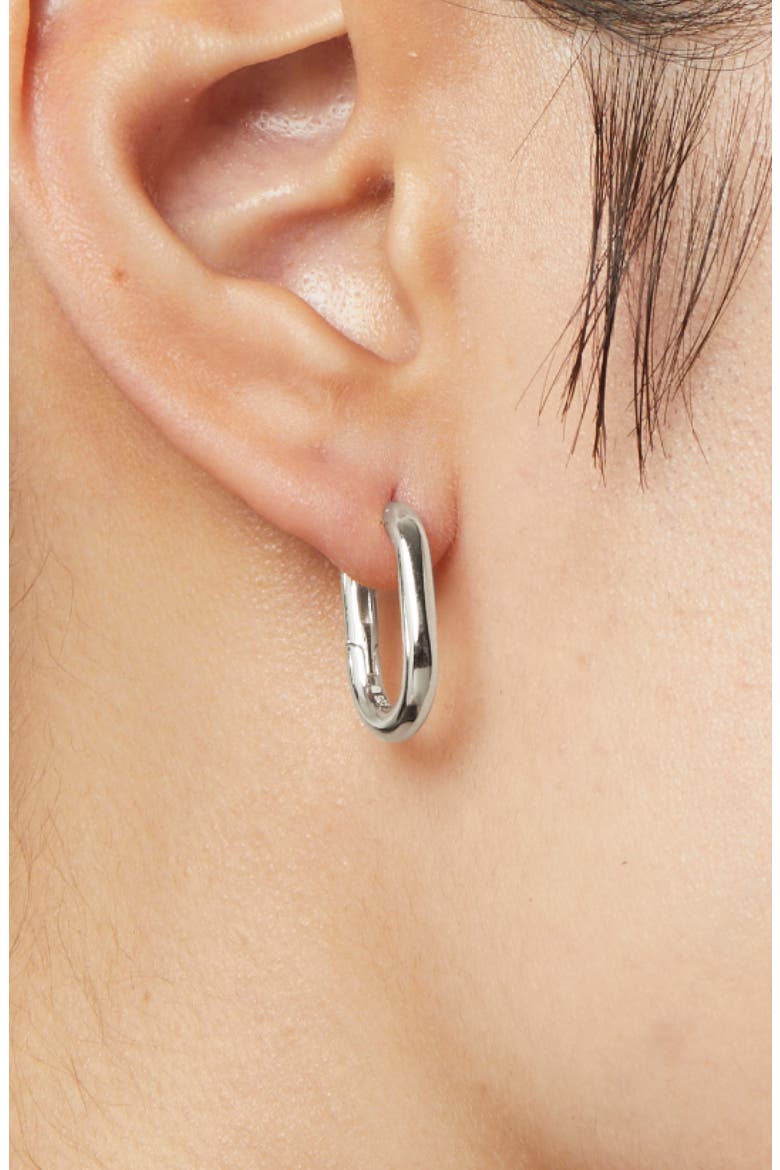 Gold Hoop Earrings - Rox Small, Alternate, color, Silver