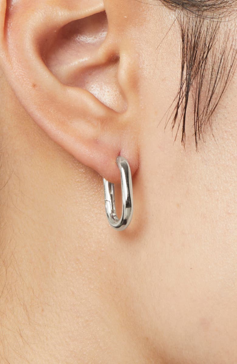 Ana Luisa Gold Hoop Earrings - Rox Small, Alternate, color, Silver