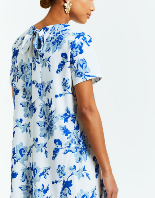 Mestiza New York Women's Cecily Floral Minidress In Blue