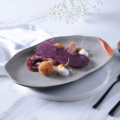 Porto Brasil Shallow Bio Oval Platter Medium Set Of 4 In Gray
