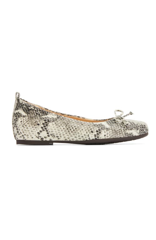 Abeo Cadence Bow Ballet Flat In Snake Print - Regular