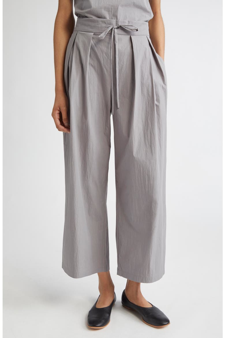 Dean Tie Waist Ankle Wide Leg Pants, Main, color, TITANIUM