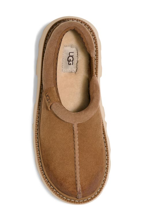 Ugg(r) Tasman Lug Sole Clog In Chestnut