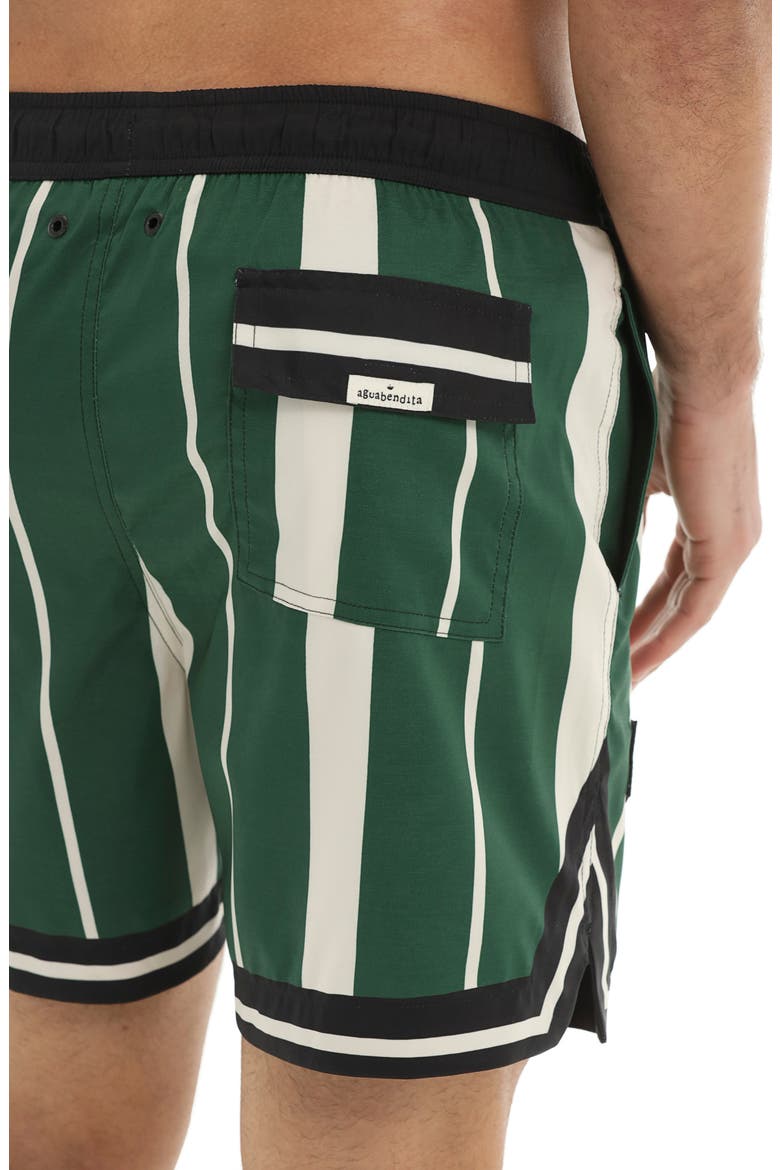 Dan Varsity Swim Trunks, Alternate, color, MULTICOLOR