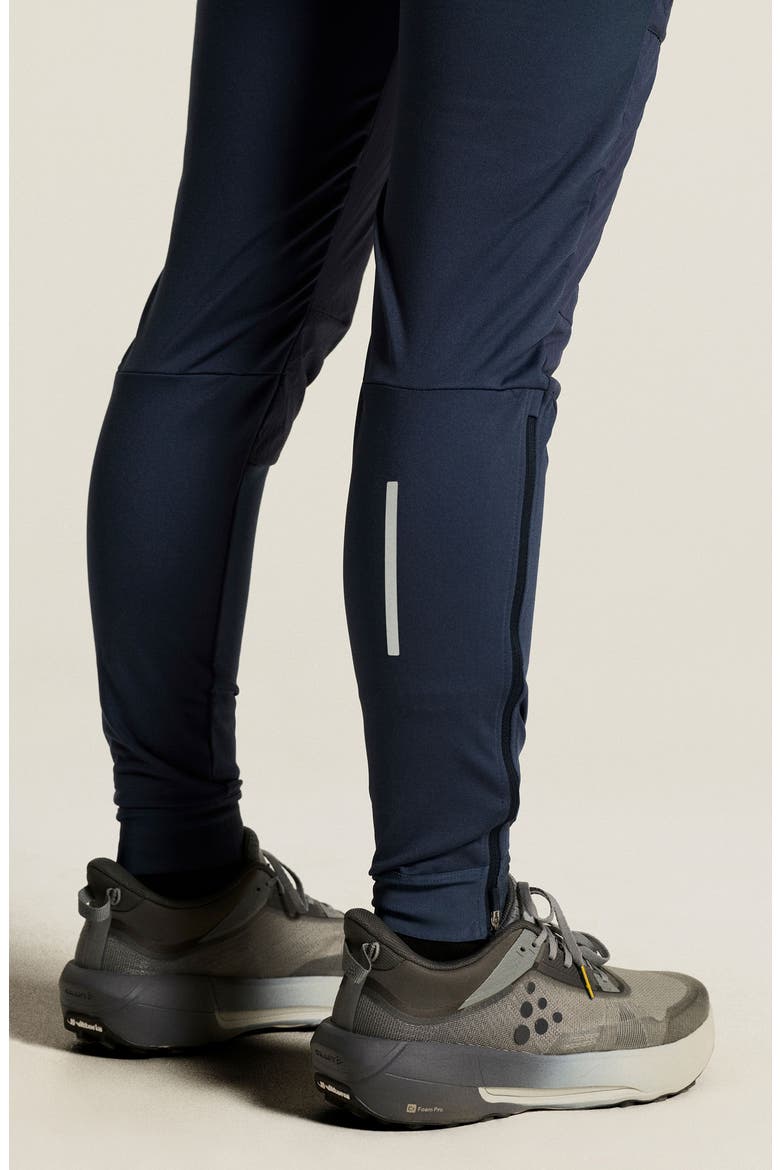 SubZ Light Running Tights, Alternate, color, NIGHT