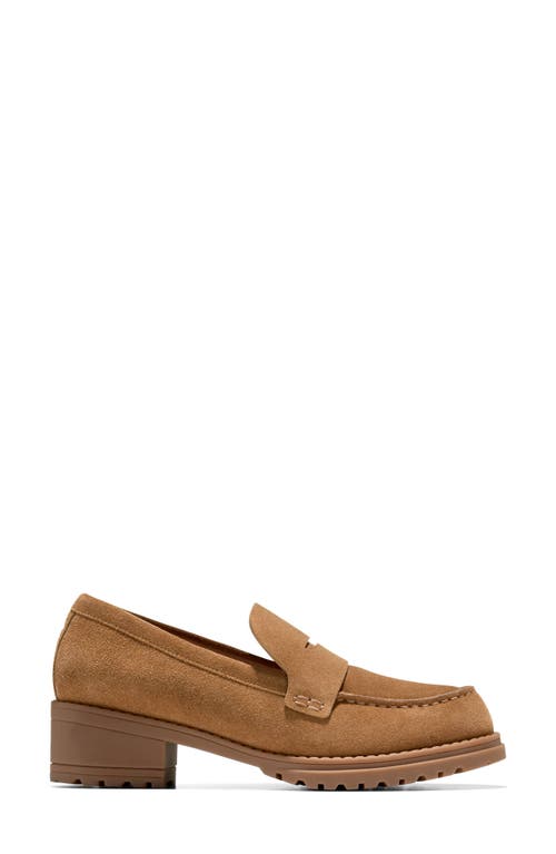 Cole Haan Camea Lug Sole Penny Loafer In Chestnut Golden