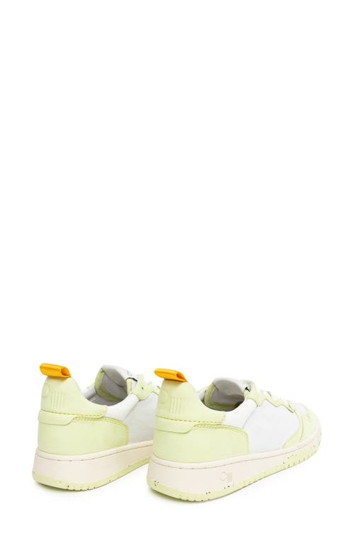 Oncept Phoenix Leather Lace-up Sneaker In Multi